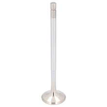 Load image into Gallery viewer, Exhaust Valve Fits Volvo Trucks FH FH4 OE 20513285 Febi 183203