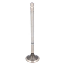 Load image into Gallery viewer, Exhaust Valve Fits Volvo FH4 OE 21428866 Febi 184142