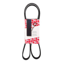 Load image into Gallery viewer, 8 Ribbed Auxiliary V Belt Aux Multi 1395mm 8PK1395 Fits EVOBUS Febi 44897