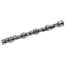 Load image into Gallery viewer, Camshaft Fits Vauxhall Astra Cavalier Ascona Corsa A Kadett E Vectra Febi 02986