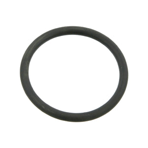 Water Pump Thermostat O-Ring Fits MAN Bus CATANO EL F 2000 8 90 FOC G Febi 03518