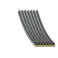 Load image into Gallery viewer, Auxiliary Belt 1203 mm Fits Renault Scenic OE 11 72 078 48R Febi 176365