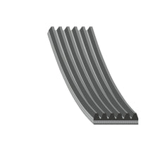 Load image into Gallery viewer, Auxiliary Belt Fits Alfa Romeo OE 55245947 Febi 177987