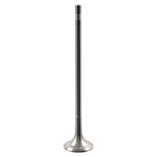 Load image into Gallery viewer, Exhaust Valve Fits Volvo OE 21016539 Febi 179180
