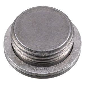 Seal Plug Fits BMW 1 Series 3 Series 5 Series 6 Series 11117558632 Febi 179211