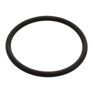 Thermostat O-Ring Fits Mitsubishi Grandis Lancer Outlander Volkswagen Febi 17966