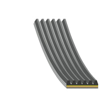 Load image into Gallery viewer, 1324mm Auxiliary Belt Fits Ford Kuga Transit Tourneo OE 2 361 318 Febi 179843