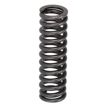 Load image into Gallery viewer, Valve Spring Fits Mercedes Trucks Actros Antos Arocs 470 053 02 20 Febi 182913