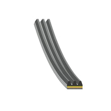 Load image into Gallery viewer, Auxiliary Belt Fits BMW OE 11285A04DA2 Febi 183220