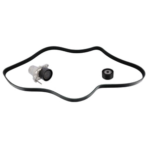 Auxiliary Belt Kit Fits Fiat OE 6000616503 Febi 183555