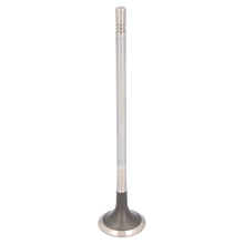 Load image into Gallery viewer, Exhaust Valve Fits Volvo OE 22794343 Febi 183940