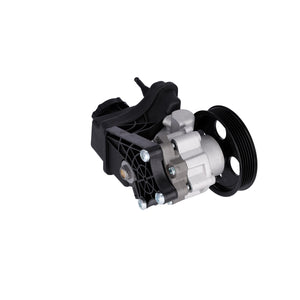 Power Steering Pump Fits Mercedes C-Class E-Class SLC SLK 0064662601 Febi 184067