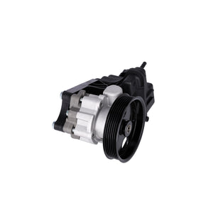 Power Steering Pump Fits Mercedes C-Class E-Class SLC SLK 0064662601 Febi 184067