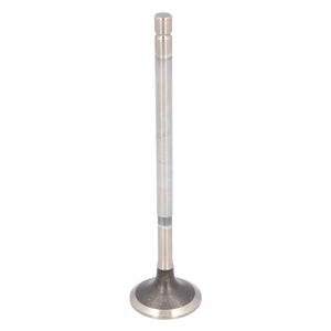 Exhaust Valve Fits Volvo FH4 OE 21428866 Febi 184142