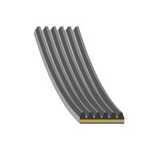 Load image into Gallery viewer, Auxiliary Belt Fits Jaguar OE J9C20581 Febi 184946