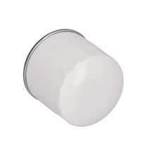 Load image into Gallery viewer, Fuel Filter Fits John Deere OE CH16885 Febi 185165