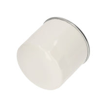 Load image into Gallery viewer, Fuel Filter Fits John Deere OE CH16885 Febi 185165