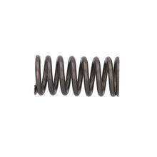 Load image into Gallery viewer, Valve Spring Fits DAF Trucks CF Ginaf LF XF XG Tatra OE 1813104 Febi 187734