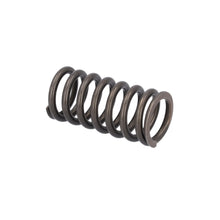 Load image into Gallery viewer, Valve Spring Fits DAF Trucks CF Ginaf LF XF XG Tatra OE 1813104 Febi 187734