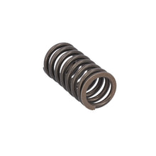 Load image into Gallery viewer, Valve Spring Fits DAF Trucks CF Ginaf LF XF XG Tatra OE 1813104 Febi 187734