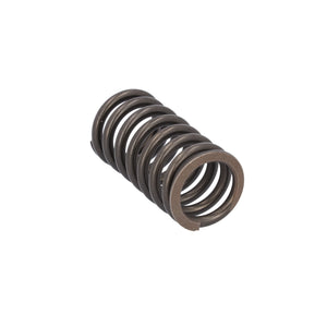 Valve Spring Fits DAF Trucks CF Ginaf LF XF XG Tatra OE 1813104 Febi 187734