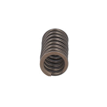 Load image into Gallery viewer, Valve Spring Fits DAF Trucks CF Ginaf LF XF XG Tatra OE 1813104 Febi 187734
