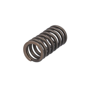 Valve Spring Fits DAF Trucks CF Ginaf LF XF XG Tatra OE 1813104 Febi 187734