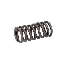 Load image into Gallery viewer, Valve Spring Fits DAF Trucks CF Ginaf LF XF XG Tatra OE 1813104 Febi 187734