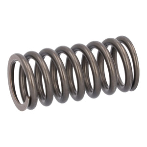 Valve Spring Fits DAF Trucks CF Ginaf LF XF XG Tatra OE 1813104 Febi 187734