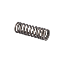 Load image into Gallery viewer, Valve Spring Fits Scania F K N P G L R S T 4 Serie OE 2865746 Febi 187737