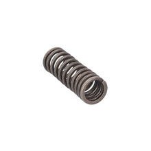 Load image into Gallery viewer, Valve Spring Fits Scania F K N P G L R S T 4 Serie OE 2865746 Febi 187737