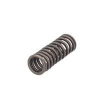 Load image into Gallery viewer, Valve Spring Fits Scania F K N P G L R S T 4 Serie OE 2865746 Febi 187737