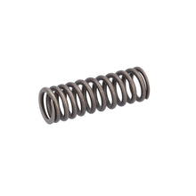 Load image into Gallery viewer, Valve Spring Fits Scania F K N P G L R S T 4 Serie OE 2865746 Febi 187737
