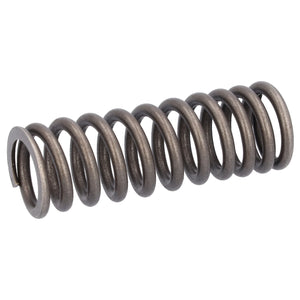 Valve Spring Fits Scania F K N P G L R S T 4 Serie OE 2865746 Febi 187737