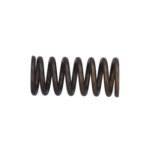 Valve Spring Fits DAF Trucks 75 CF OE 1386180 Febi 187743