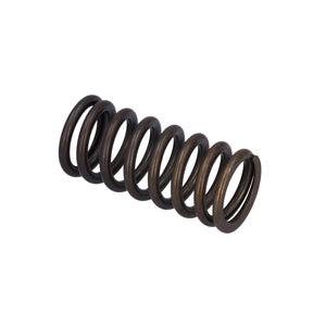 Valve Spring Fits DAF Trucks 75 CF OE 1386180 Febi 187743