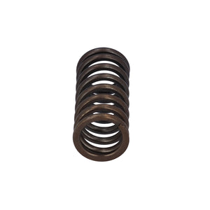 Valve Spring Fits DAF Trucks 75 CF OE 1386180 Febi 187743