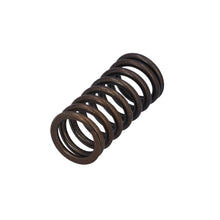 Load image into Gallery viewer, Valve Spring Fits DAF Trucks 75 CF OE 1386180 Febi 187743