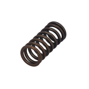 Valve Spring Fits DAF Trucks 75 CF OE 1386180 Febi 187743