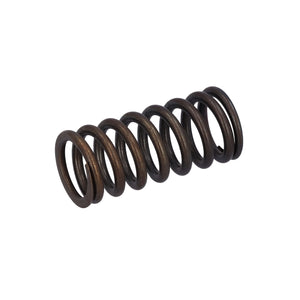 Valve Spring Fits DAF Trucks 75 CF OE 1386180 Febi 187743