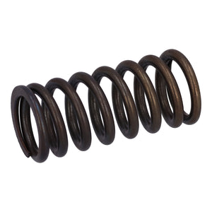 Valve Spring Fits DAF Trucks 75 CF OE 1386180 Febi 187743