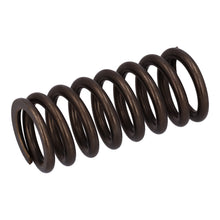 Load image into Gallery viewer, Valve Spring Fits DAF OE 1850087 Febi 187748