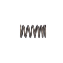 Load image into Gallery viewer, Valve Spring Fits DAF CF OE 1610819 Febi 187750