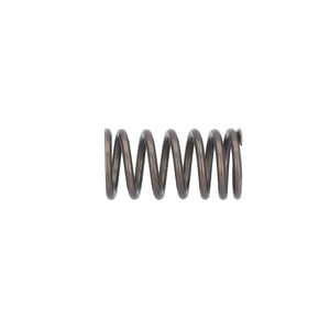 Valve Spring Fits DAF CF OE 1610819 Febi 187750