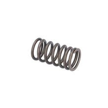 Load image into Gallery viewer, Valve Spring Fits DAF CF OE 1610819 Febi 187750