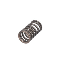 Load image into Gallery viewer, Valve Spring Fits DAF CF OE 1610819 Febi 187750