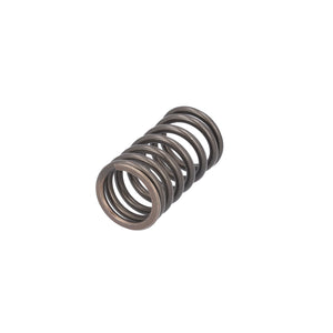 Valve Spring Fits DAF CF OE 1610819 Febi 187750