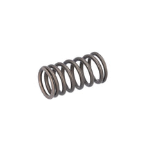 Load image into Gallery viewer, Valve Spring Fits DAF CF OE 1610819 Febi 187750