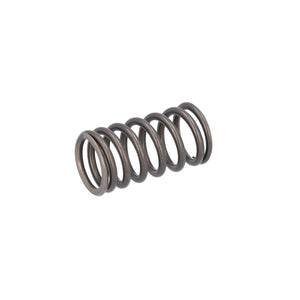 Valve Spring Fits DAF CF OE 1610819 Febi 187750