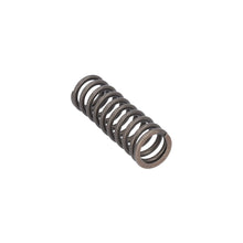 Load image into Gallery viewer, Valve Spring Fits Scania P G L R S Serie OE 2826689 Febi 187753